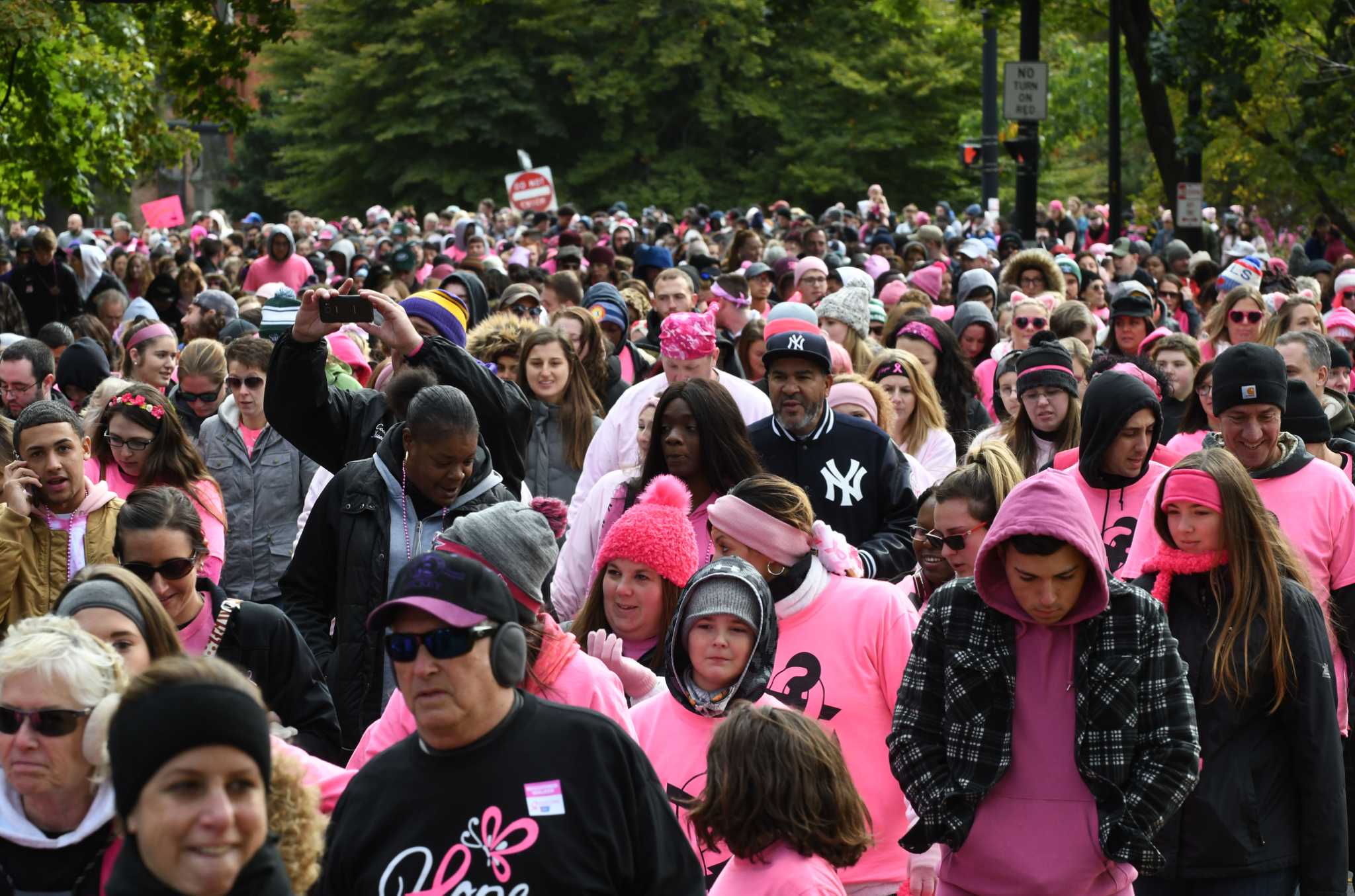 Making Strides Against Breast Cancer of Albany, NY - 