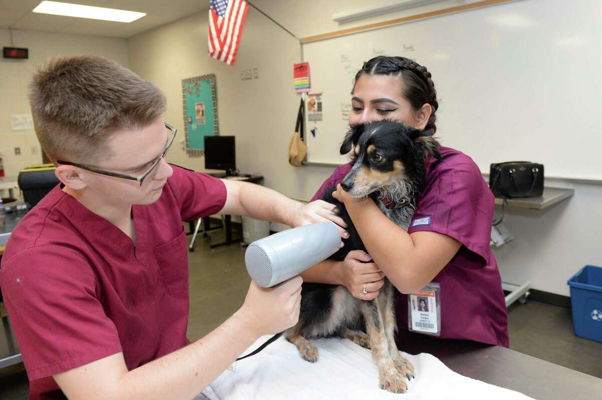 Katy ISD Vet Med Program enters 9th year