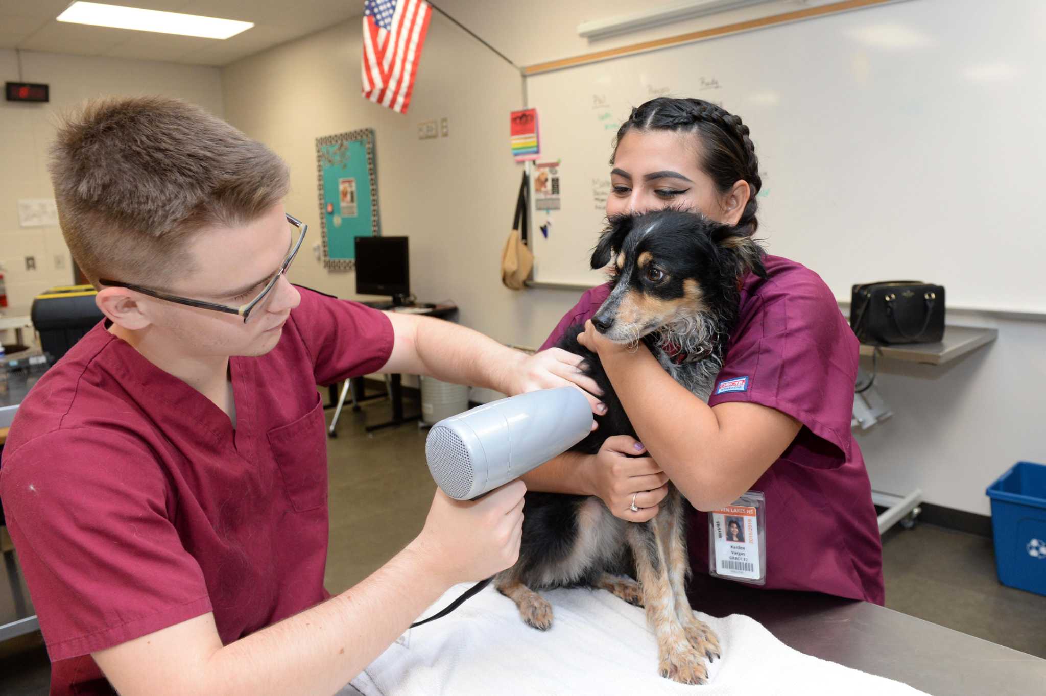 Katy ISD Vet Med Program enters 9th year