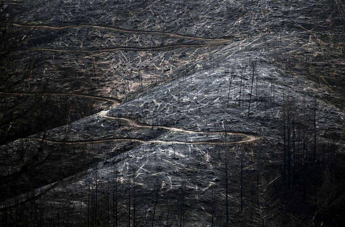 A large forest is seen completely charred after being destroyed in October 2017 by the Tubbs Fire seen Wednesday, Jan. 31, 2018 in Knights Valley, Calif.
