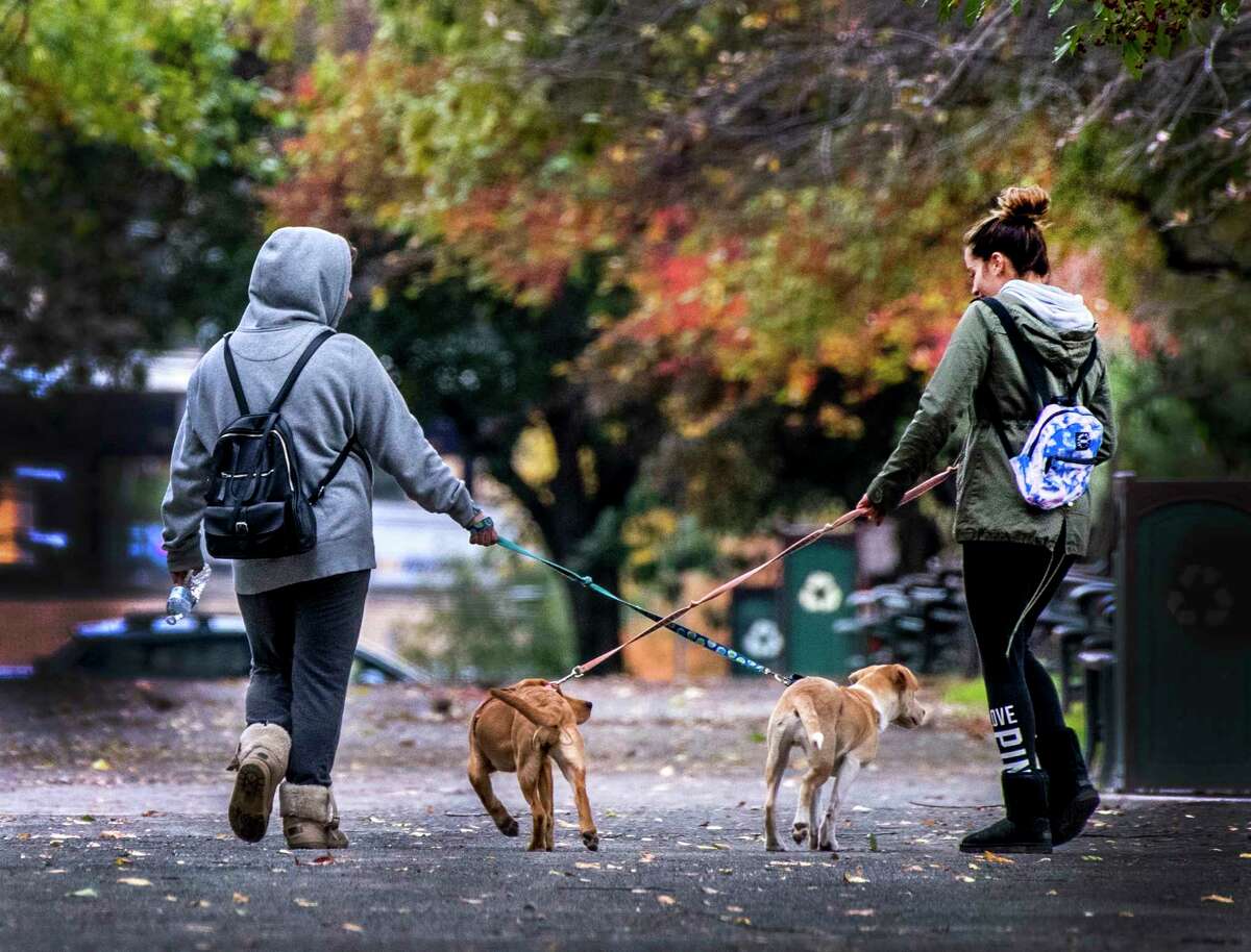 See Pugonya, 23, left, goes for a walk with her pup Zeuce, 4 months old and her friend Marissa Mort, 22 walks her dog Harley also 4 month old in Washington Park Wednesday. Oct.23, 2018 in Albany, N.Y. The pups are playmates and the adults are best friends who both graduated from the University at Albany this fall. (Skip Dickstein/Times Union)