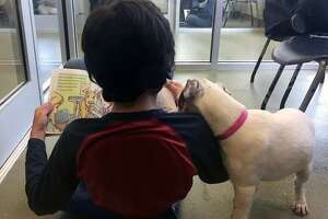 Reading program improves students&#8217; reading scores and helps homeless pets too