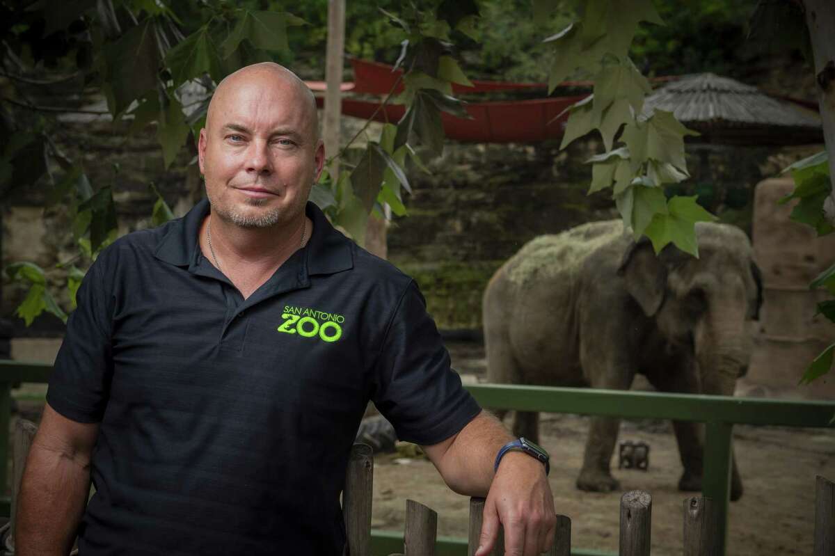 san-antonio-zoo-ceo-talks-about-future-zoo-attractions-mass-extinction