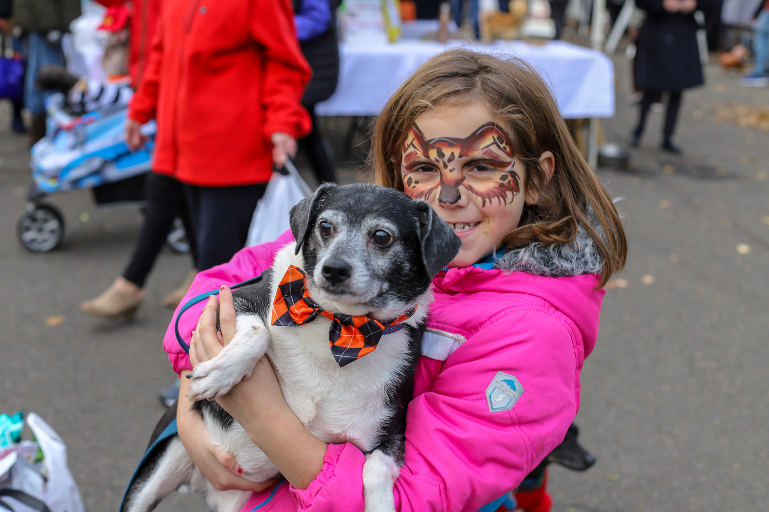 Seen Greenwich Howl And Prowl 2018 Greenwichtime