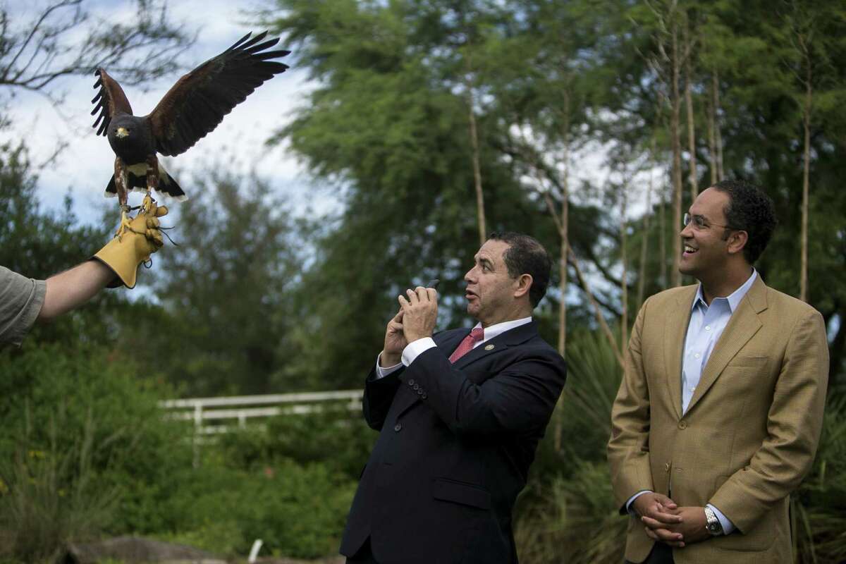 U.S. Rep. Henry Cuellar reacts to a a bay wing hawk flying over him and U.S. Rep. Will Hurd at Mitchell Lake on Oct. 26, 2018.