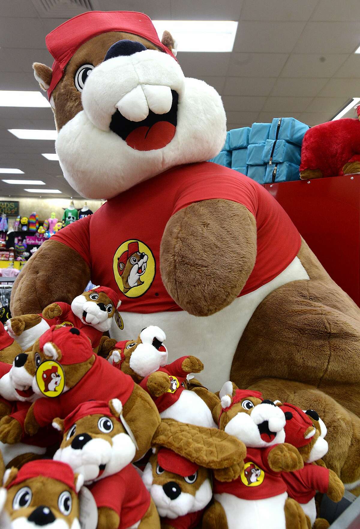 Is Southeast Texas finally getting a Buc-ee's?