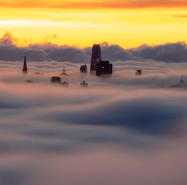 How much fog does your SF neighborhood get? This new map shows you