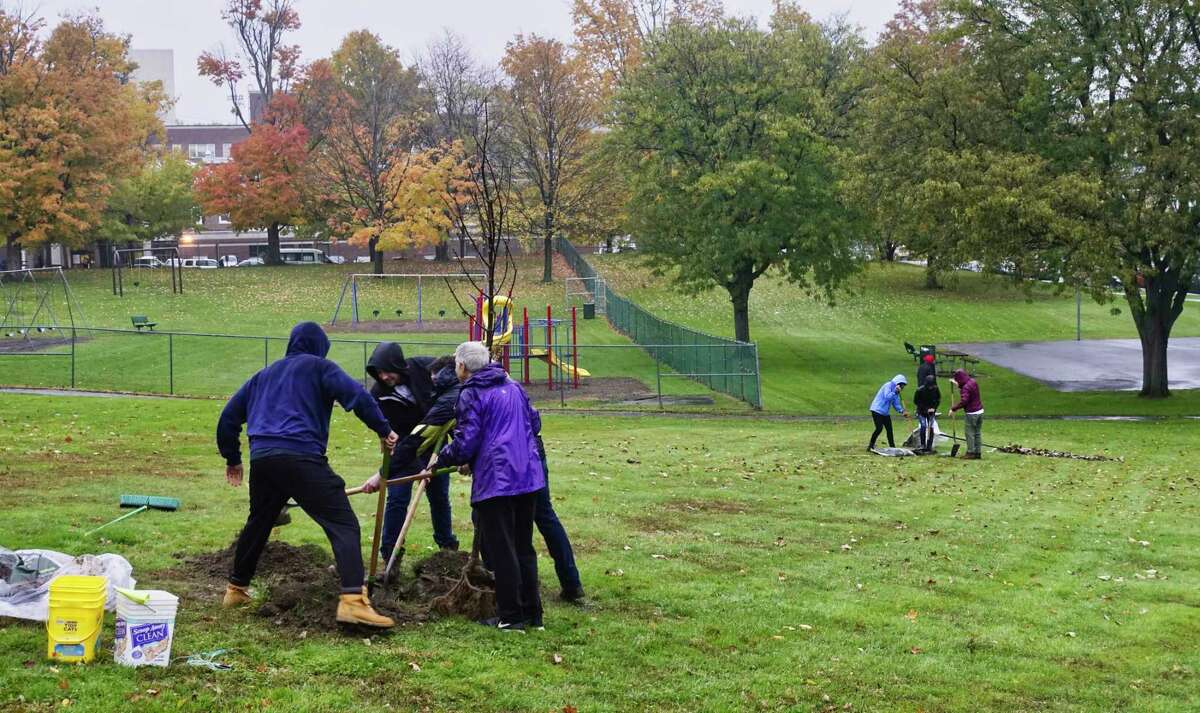 Photos Capital Roots, Troy mayor, volunteers plant 50 trees