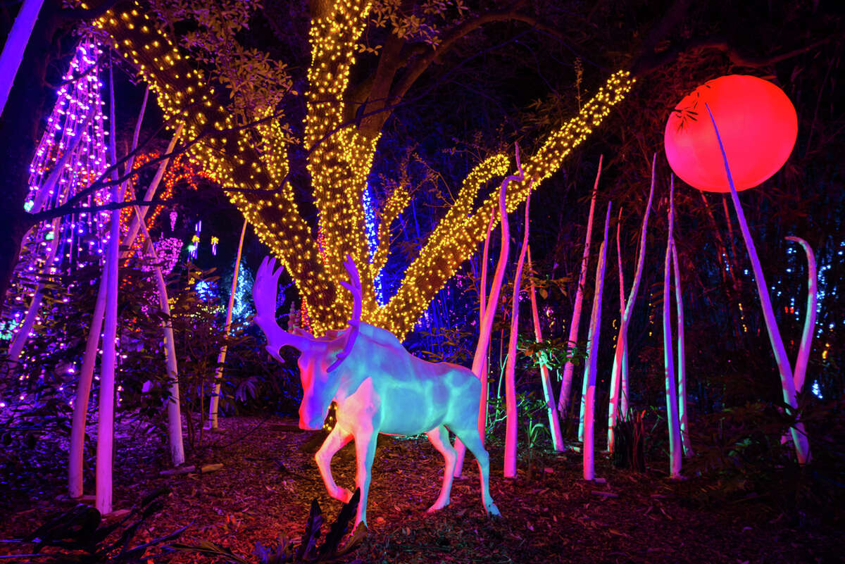 Houston Zoo Lights to be flipped on Nov. 17