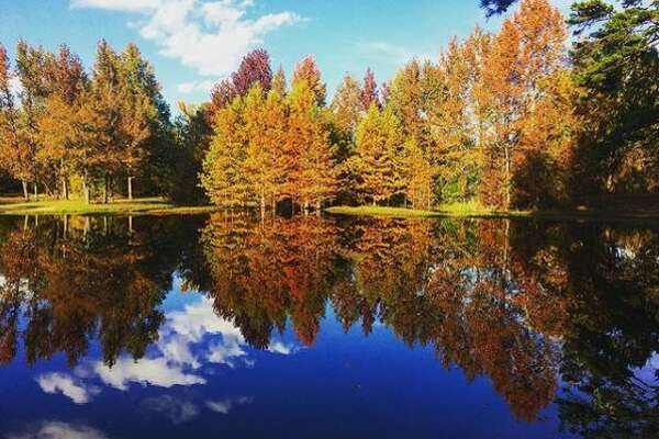 16 Beautiful Texas State Parks Where The Leaves Are Changing