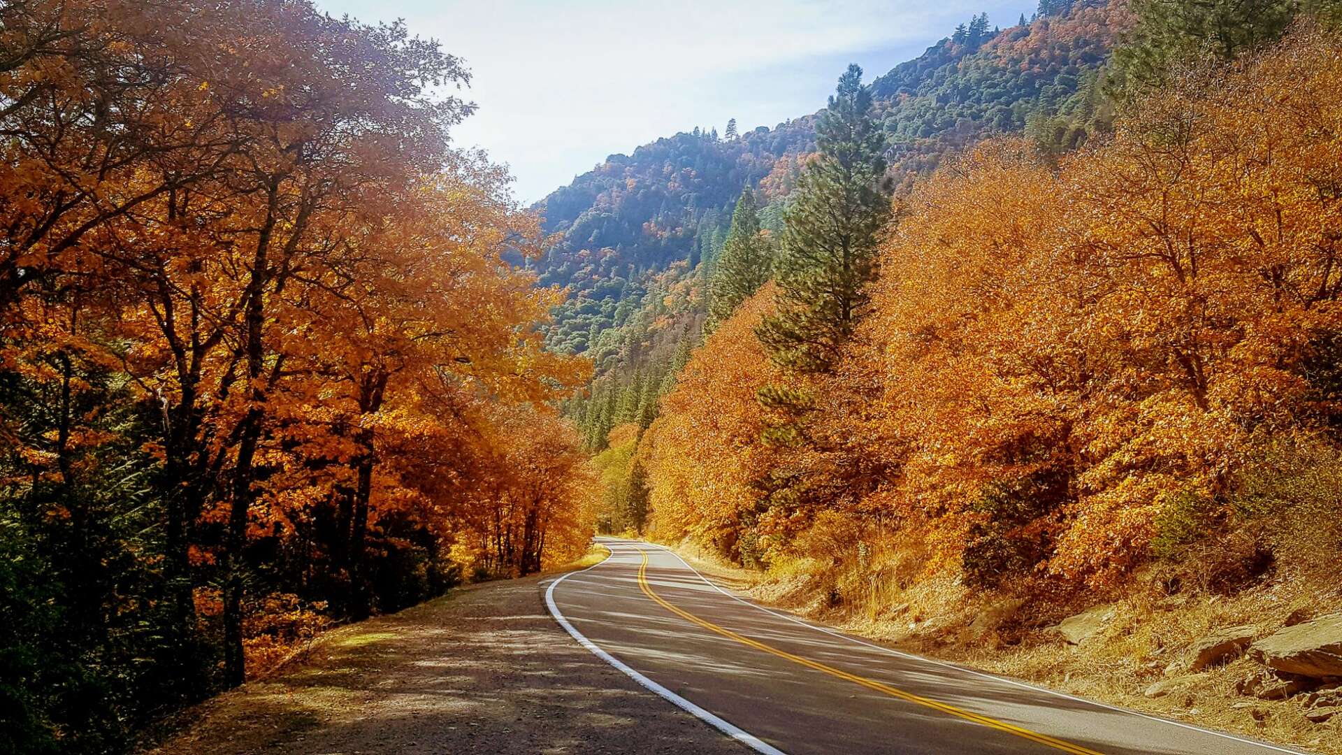 Autumn Foliage In California Fall Colors Near Los Angeles 2025