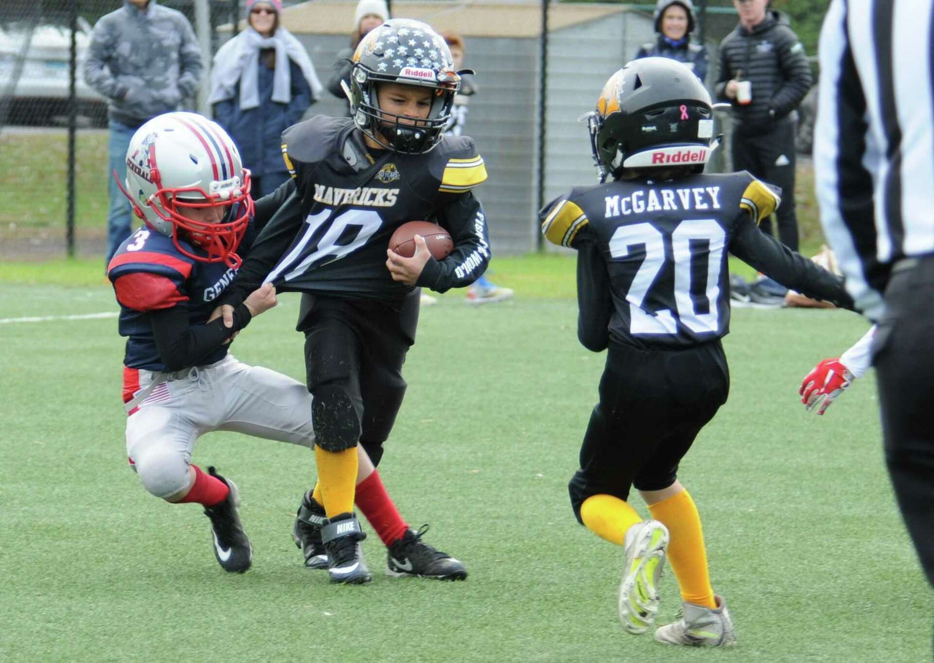 Peregrine Falcon (North American) - eBird, image size:1920x1364