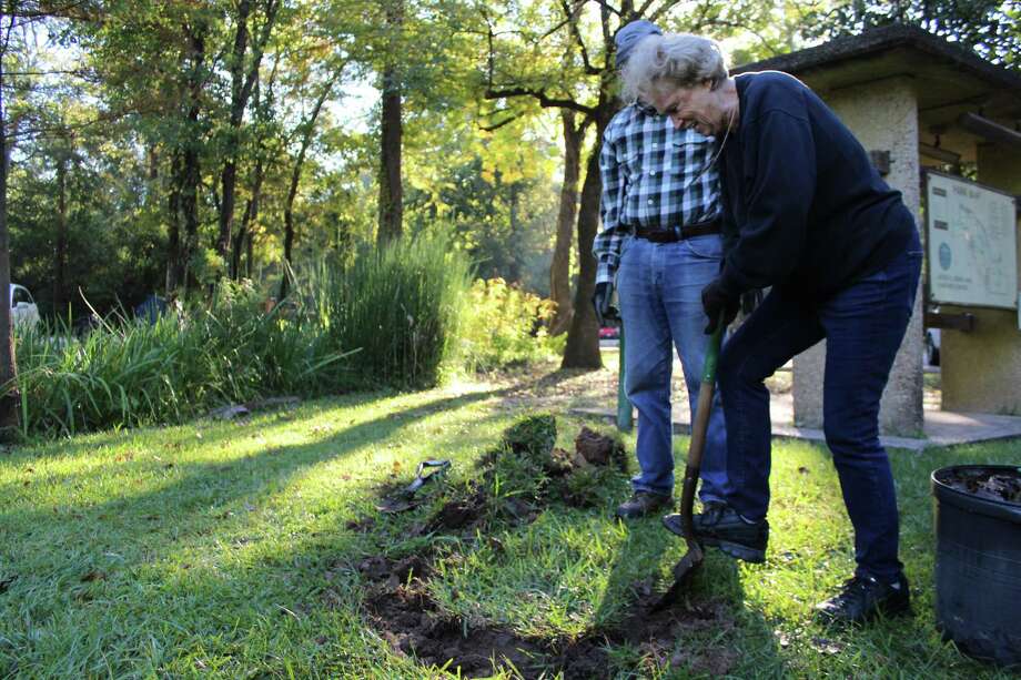 Lake Houston Residents Plant Trees At Jones H Jones Park In Humble On Nov Lake Houston Residents Plant Trees At Jones H Jones Park In Humble On Nov