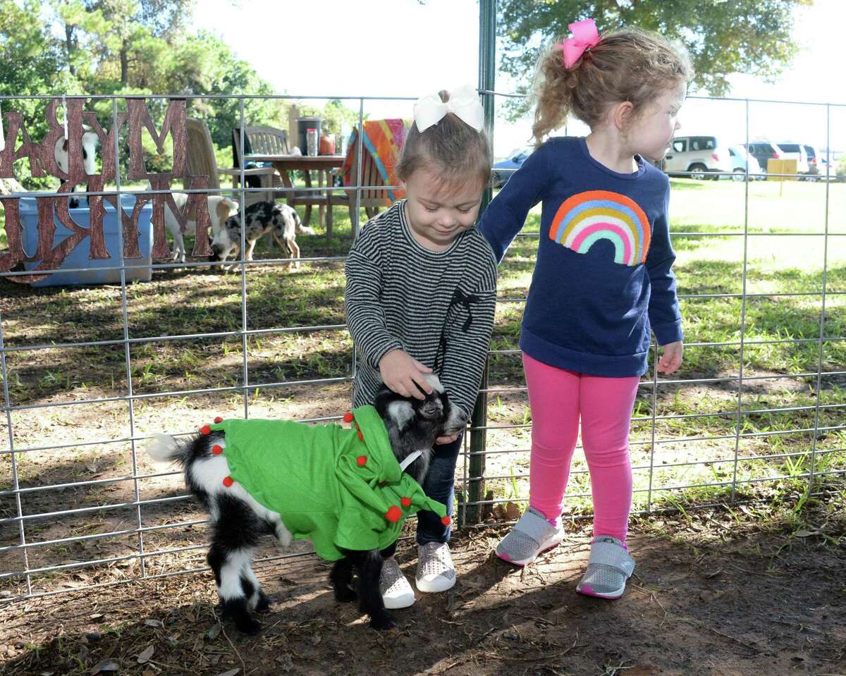 Goat Yoga KatyFulshear is all about Zen