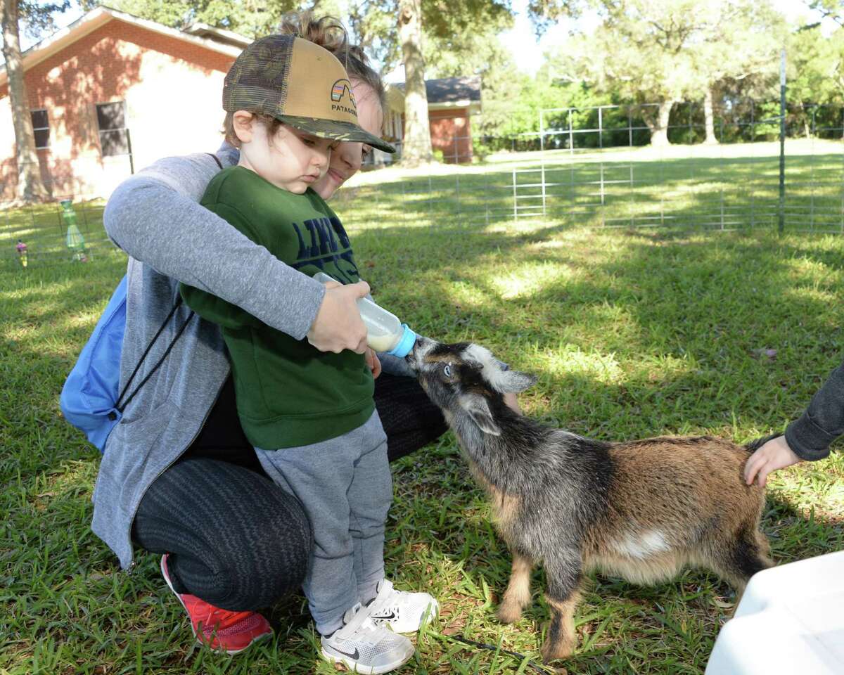 Goat Yoga KatyFulshear is all about Zen