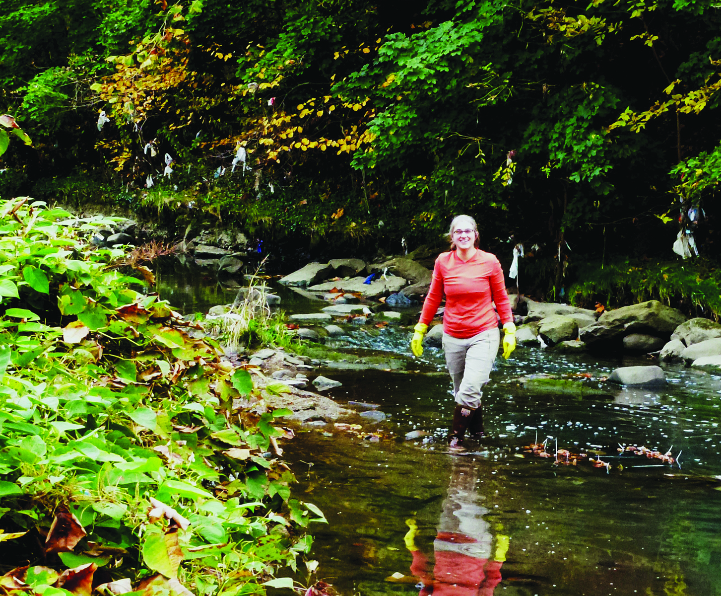 Human drugs flowing into the animal kingdom Times Union