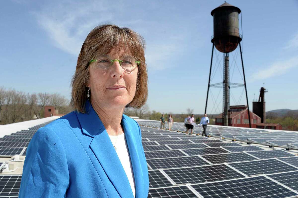 State Parks Commissioner Rose Harvey stands amid the 450-panel solar array atop the Peebles Island State Park office facility to make a State Parks Clean Energy announcement Wednesday May 2, 2018 in Cohoes, NY. (John Carl D'Annibale/Times Union)