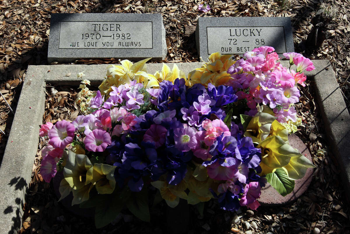 A decorated grave stands out at Pet Memorial Cemetery