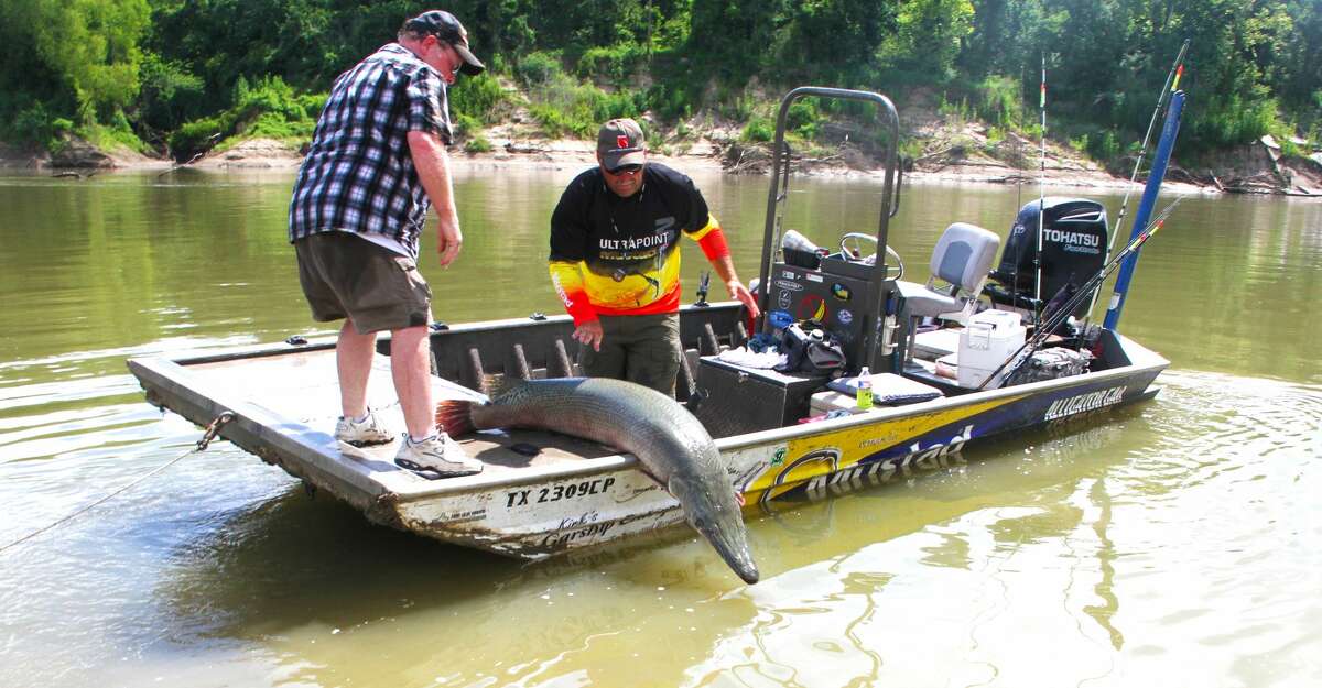Texas fisheries managers plan to propose rule changes that would set a 4-foot length maximum for alligator gar taken from most of the Trinity River and require anglers report harvest of any alligator gar taken from public water other than Falcon Lake.