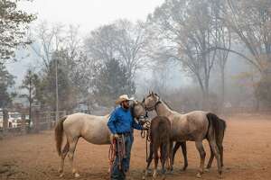 Cowboy volunteers ride to the rescue of horses and other animals from fire area