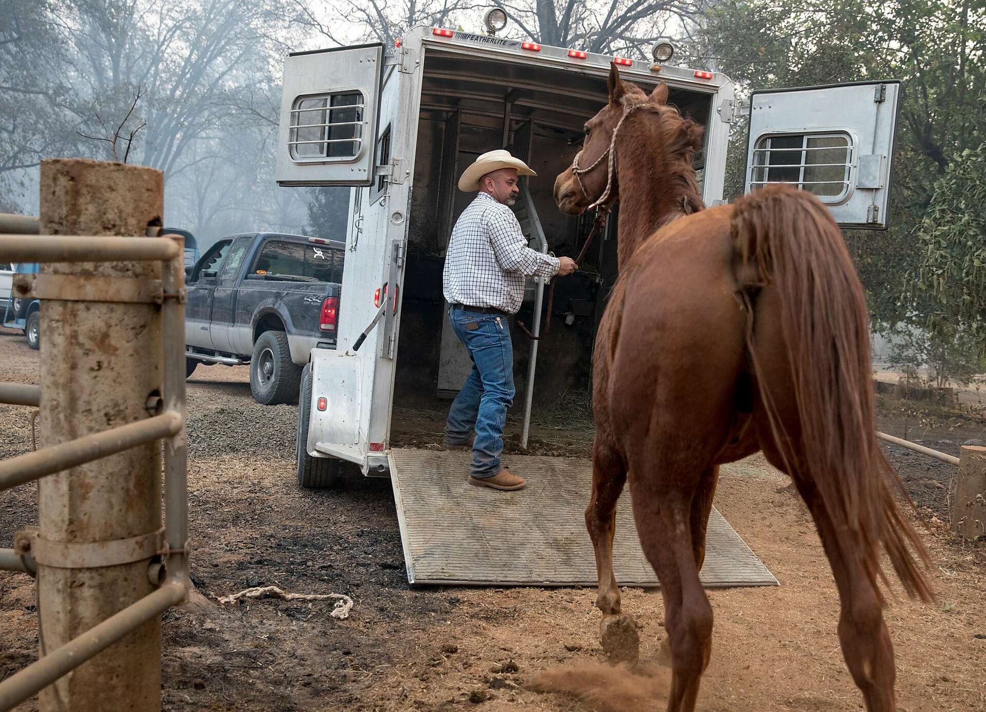 Cowboy volunteers ride to the rescue of horses and other animals from ...