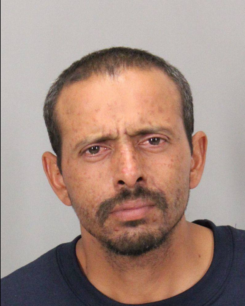 Palo Alto authorities rescue, arrest arson suspect