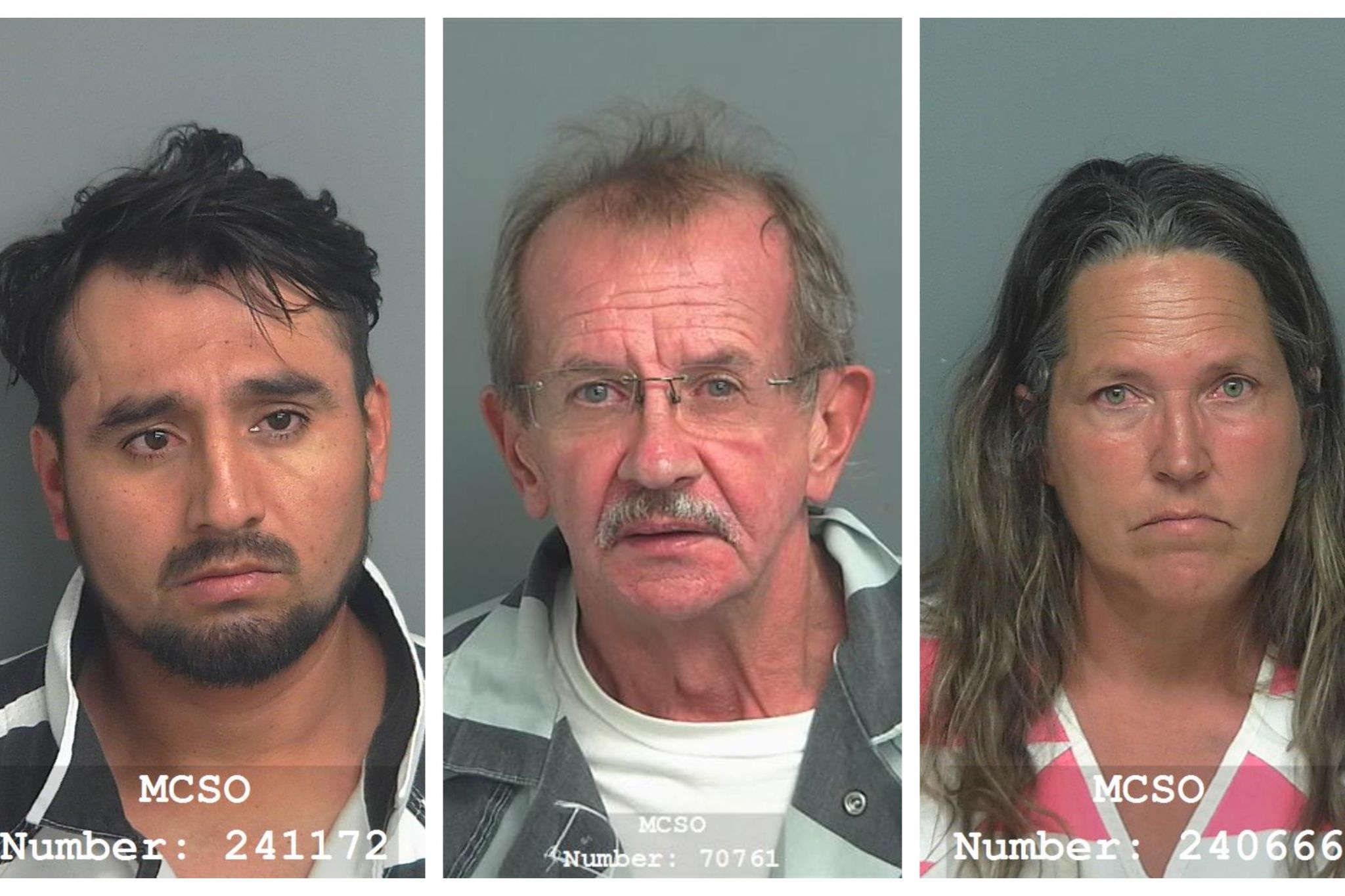 MCSO arrested 25 on felony DWI charges in October