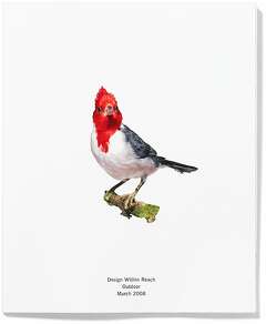 Legendary SF designer Jennifer Morla has something to tell you in big ...