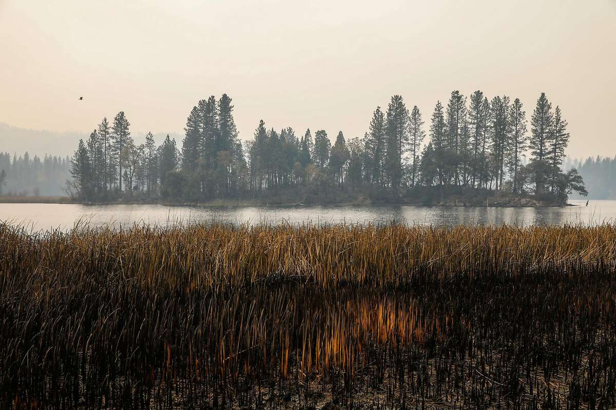 An island inside the Concow Reservoir is seen days after the Camp Fire tore through the area and displaced residents in Concow, California, on Tuesday, Nov. 13, 2018. A resident named Scott (declined last name) and his family fled into the water as the fire raged through their neighborhood. They were also able to save their 90-year-old neighbor by putting him in a boat and bringing him to shore on the other side.