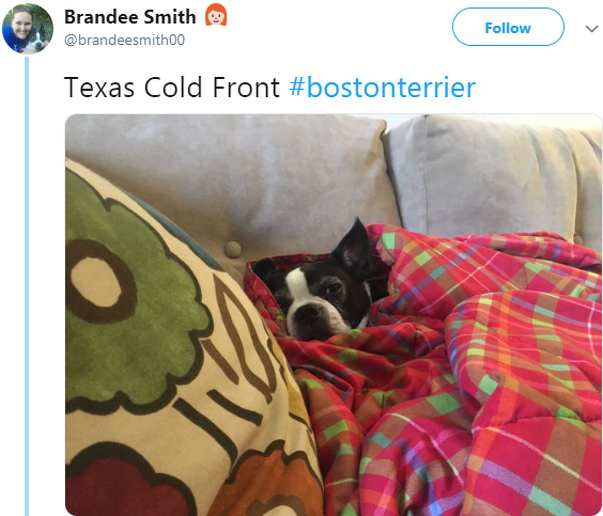 Cold San Antonio weather 'shatters' 102yearold record