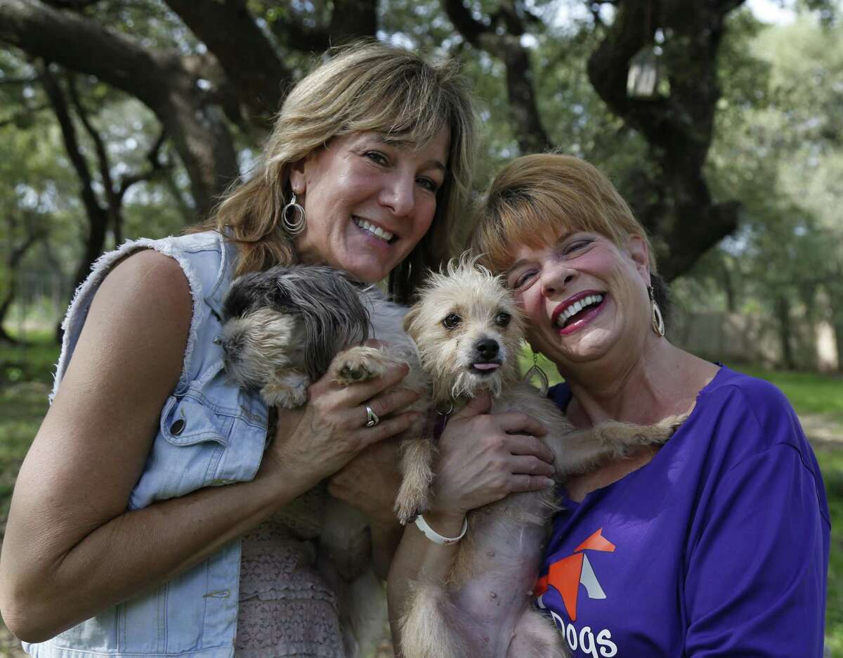 Rhonda Harmon, right, and Tracy Voss-Whyatt work together to rescue dogs from South Texas shelters and find them homes in other states. The operation has outgrown the Borgfeld farmhouse. Tracy’s Dogs bought a 22-acre ranch north of Hondo with plans to move all its animal care services to the new site.