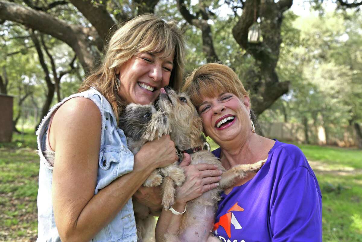 Rhonda Harmon, right and Tracy Voss-Whyatt work together to rescue dogs from South Texas shelters and find them homes in other states.