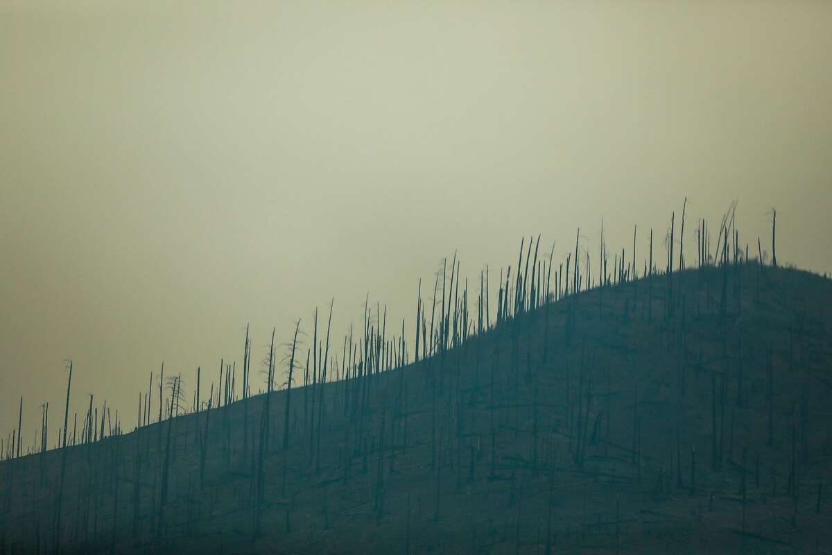 Burned trees are seen at the top of a ridge after the Camp Fire tore through the area in Concow, California, on Tuesday, Nov. 13, 2018.