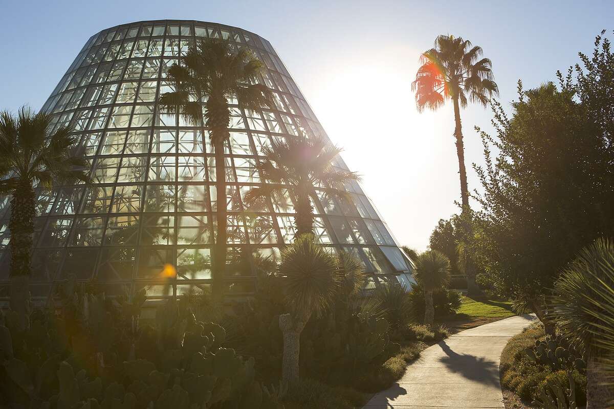 The San Antonio Botanical Garden is gorgeous enough for lots of things.