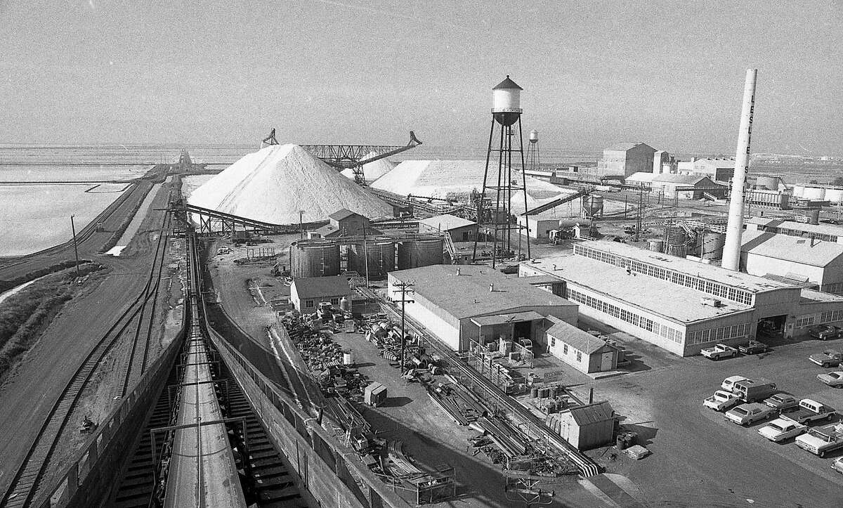The Leslie Salt Company harvesting salt from the salt ponds in Redwood City , October 14, 1983