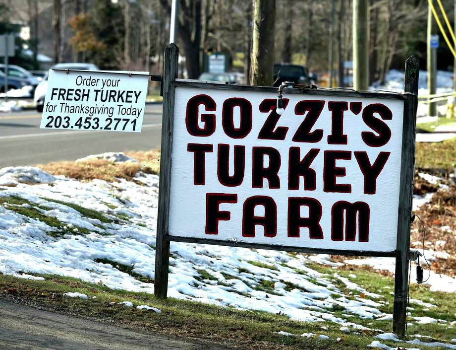 Colorful turkey's at Gozzi's Turkey Farm in Guilford New Haven Register