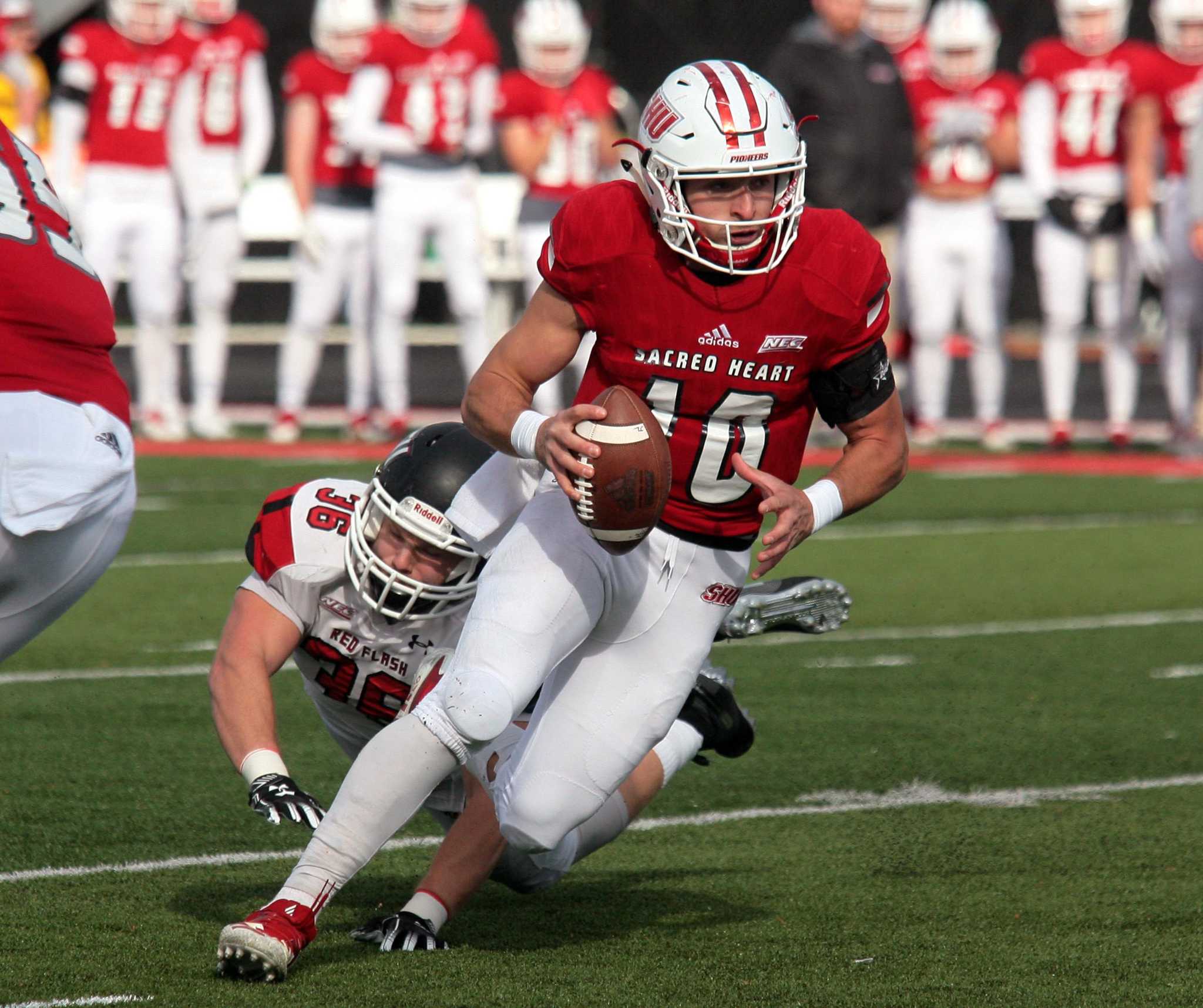 Sacred Heart wins share of NEC football title, tops St. Francis (Pa