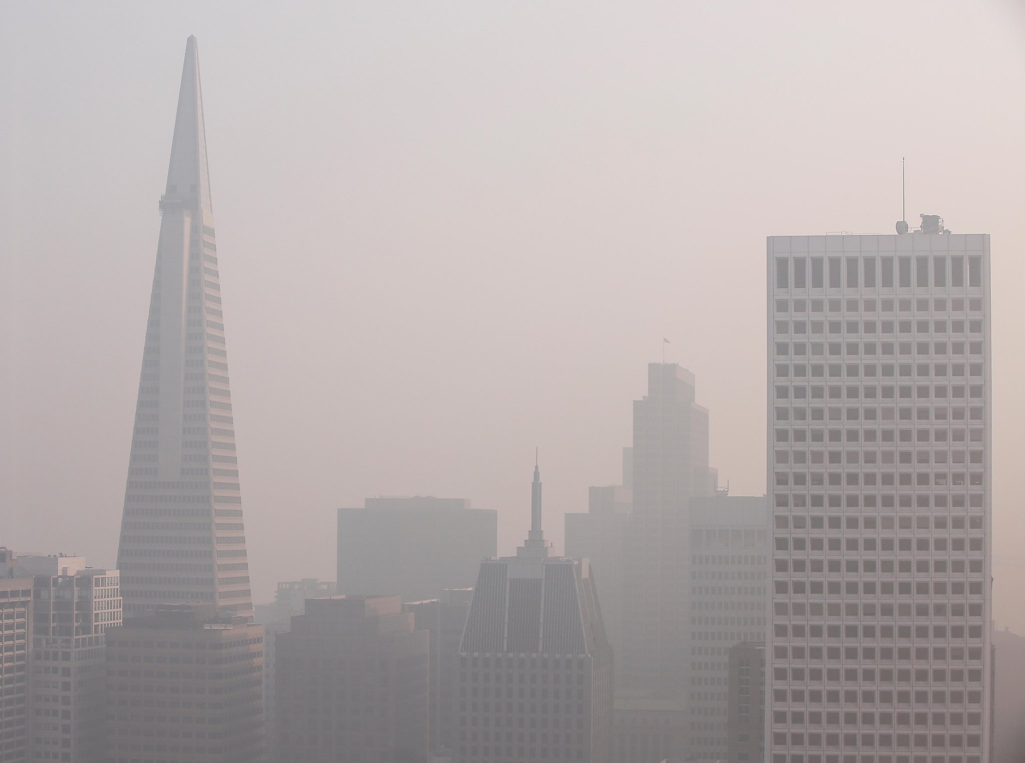 Bay Briefing Wildfire smoke + COVID19 A dangerous combination