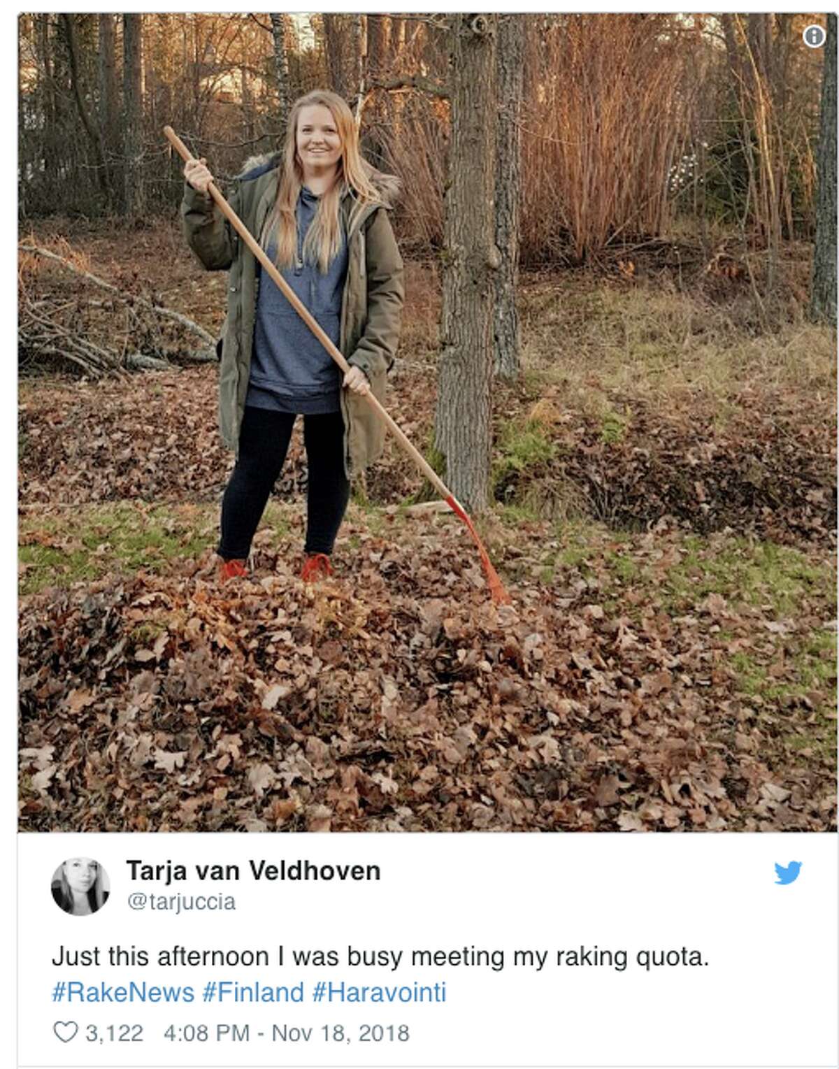 Folks in Finland are churning out memes in response to President Donald Trump saying the Fins practice good forest management by raking their forest floors.