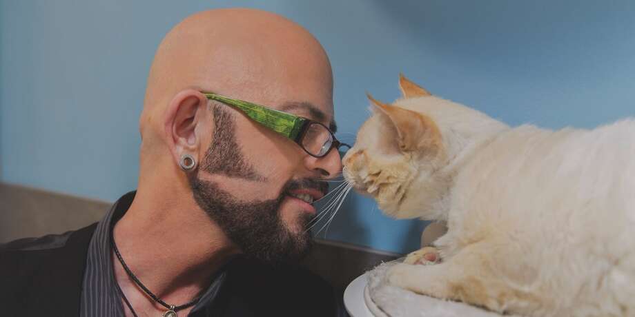 jackson galaxy the cat s meow at the egg times union