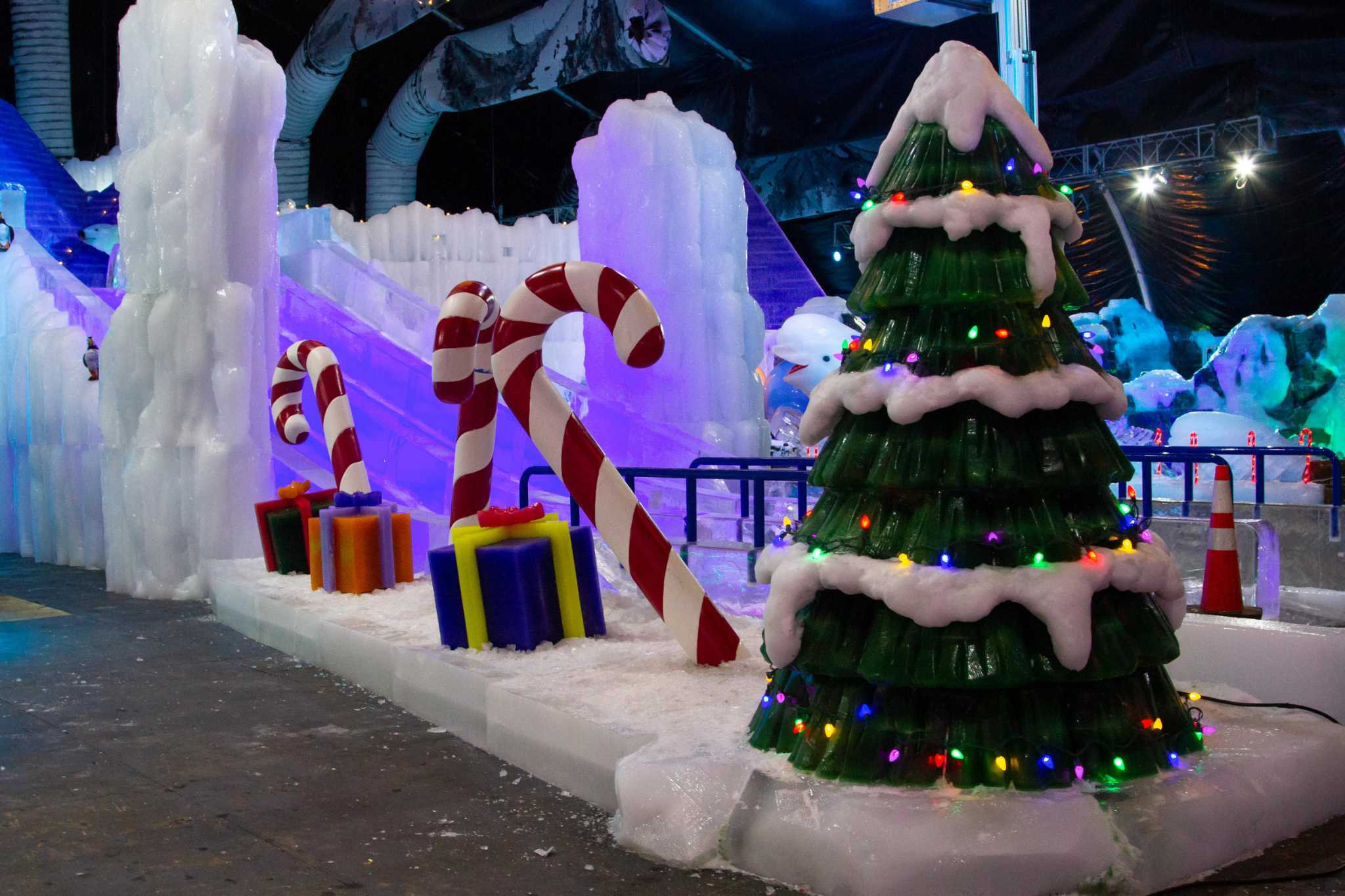 Get Gloves Before Entering Moody Gardens Ice Land