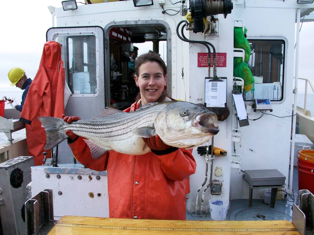 Tropical fish are moving in as Long Island Sound heat up