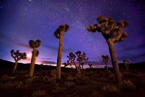 It's not just Joshua Tree. Damage has been reported at Death Valley National Park, too. - Photo