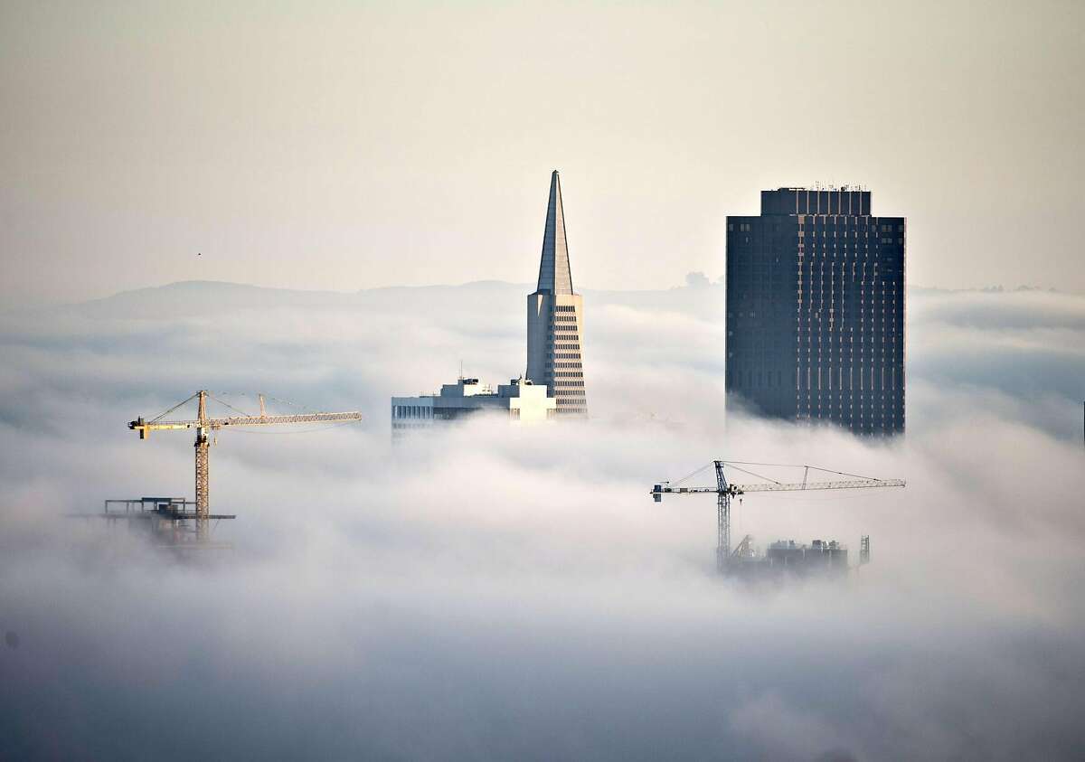 Construction cranes join the Transamerica Pyramid and 555 California Street (R) jutting through the fog at sunrise in San Francisco on October 20, 2013. San Francisco is seeing a boom in new housing and commercial construction alter the skyline.. UPI/Terry Schmitt