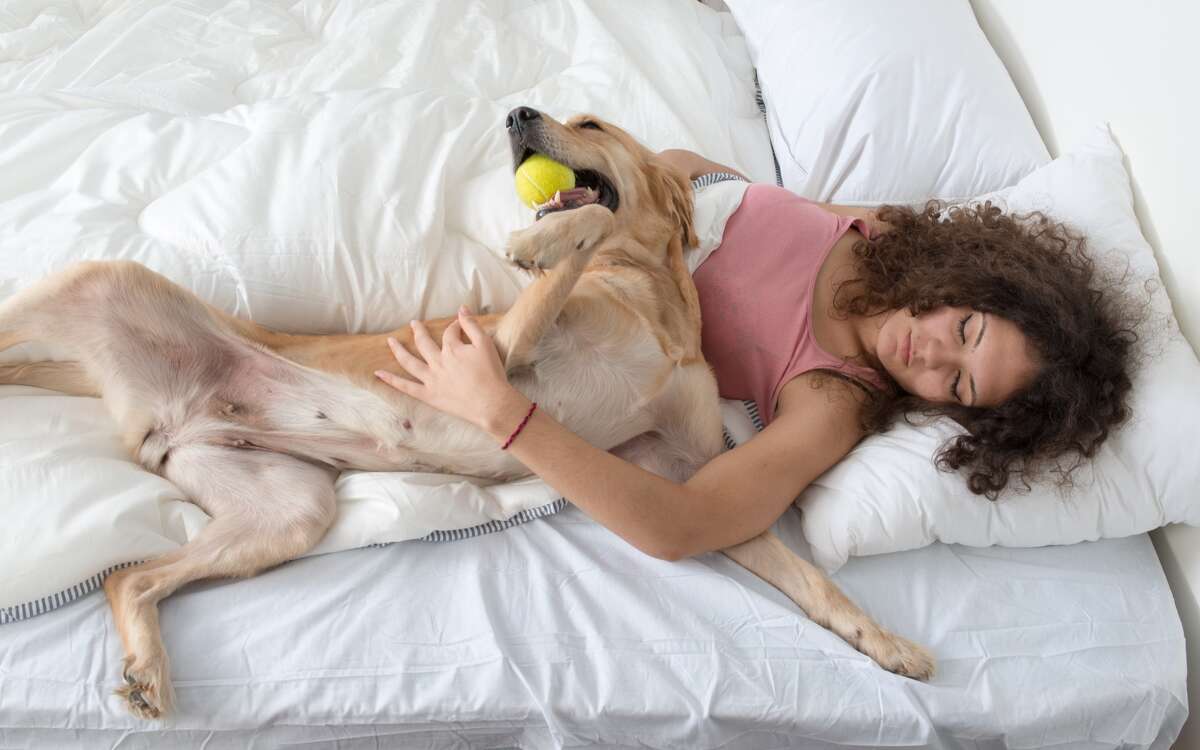 Which make the best sleep partners for women? Cats, dogs or humans?