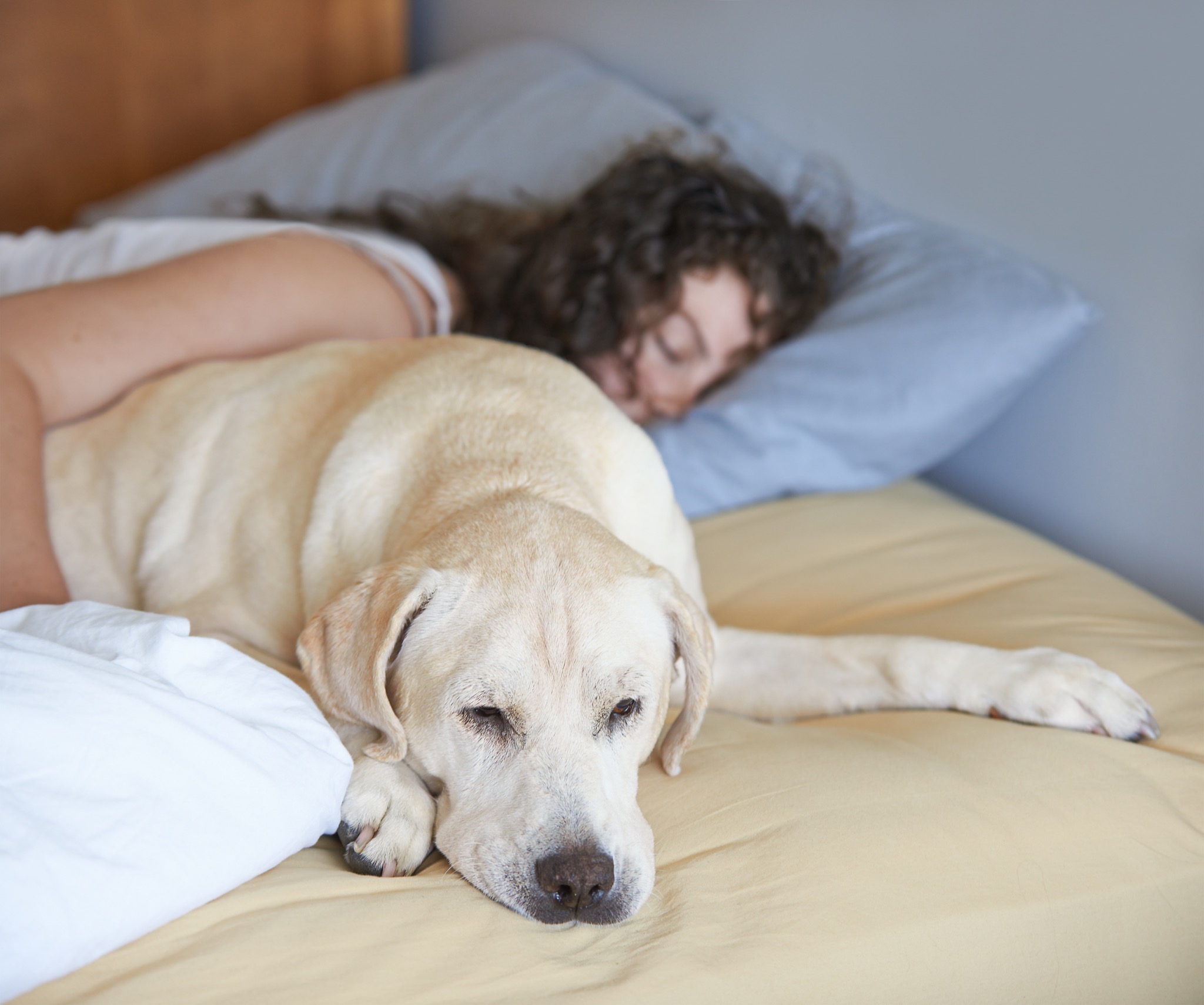 Women sleep 2024 with your dogs