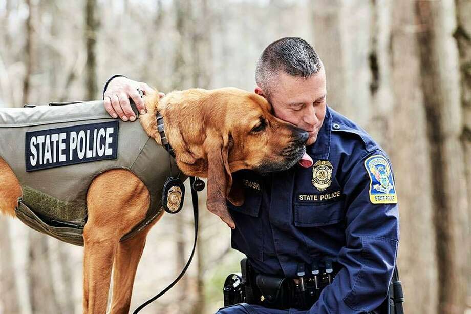 k9 enforcement