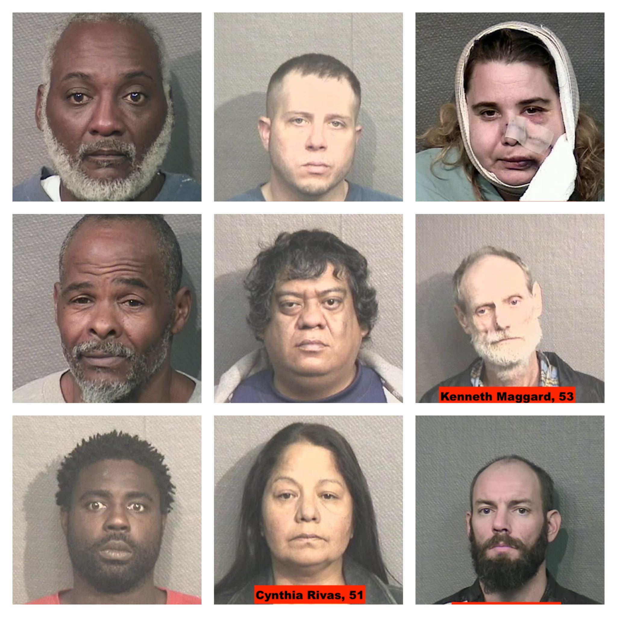 164 parole violators in Houston area roundedup in regional operation