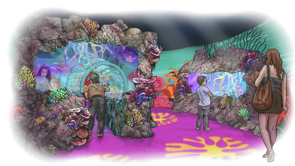 New downtown San Antonio aquarium shares moving photos ahead of 2019 ... - 1200x0