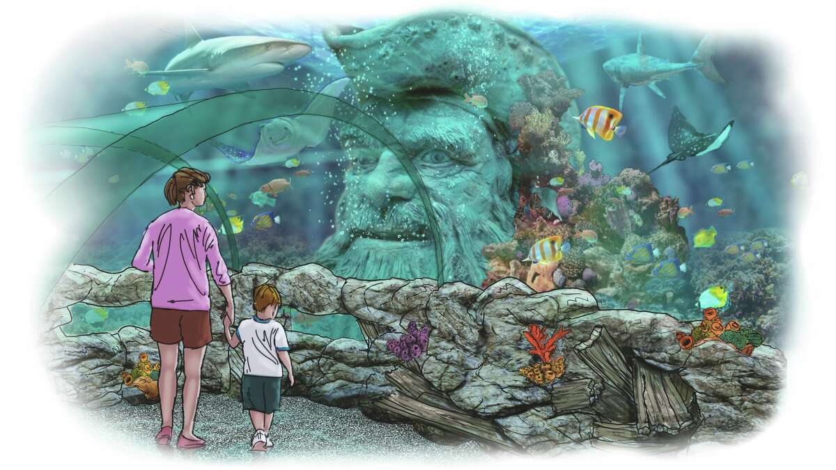 San Antonio's newest aquarium shares construction update